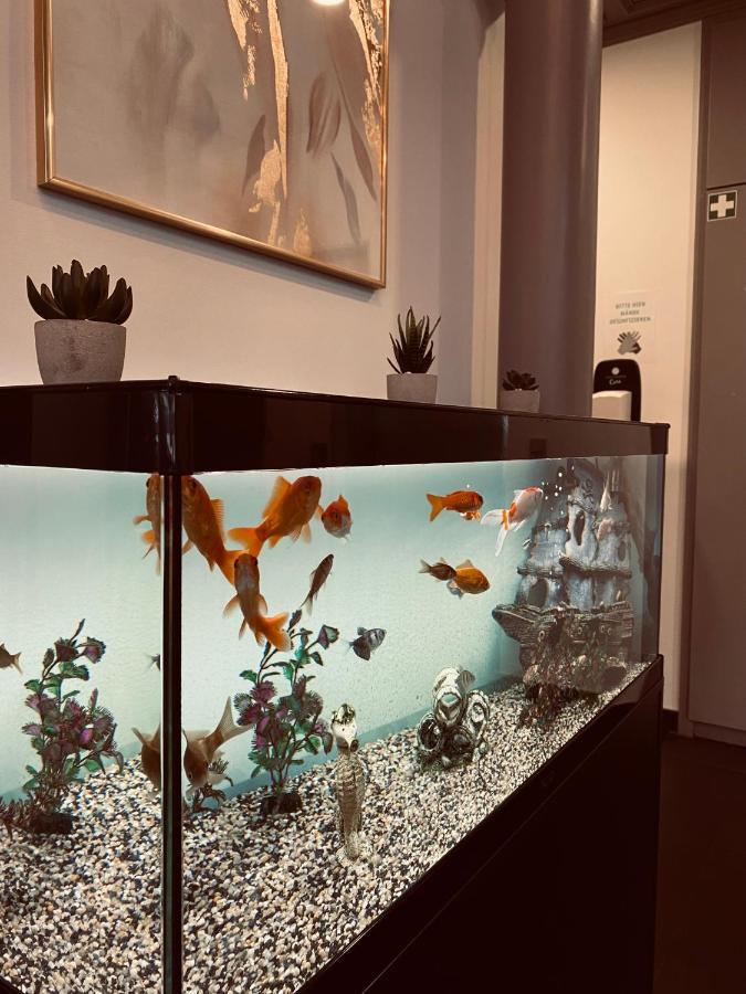 E&D Hotel ロートガウ エクステリア 写真